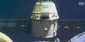 Mighty Mice splash down aboard SpaceX Dragon cargo ship – GeekWire