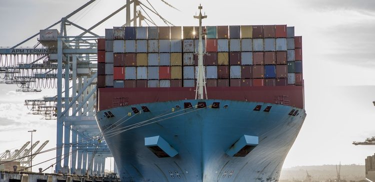 Container line group sets track and trace standards
