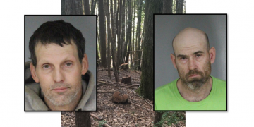 HCSO: 2 arrested for chopping down trees on Green Diamond property to sell firewood – KRCRTV.COM
