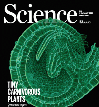 Sustainable minerals and metals for a low-carbon future