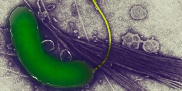 Public Health Depends on Reproducible Research