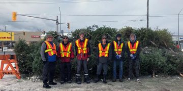 Clean North Tree Recycling Gives Back to the Community