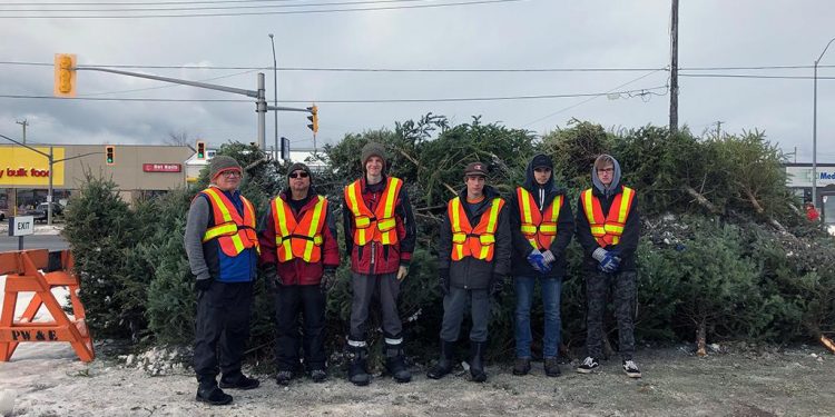 Clean North Tree Recycling Gives Back to the Community