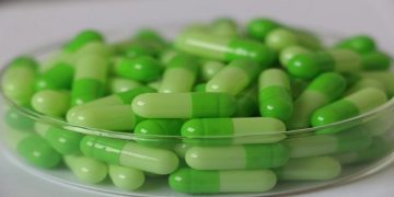 Non-Gelatin Empty Capsules Market Scope 2019