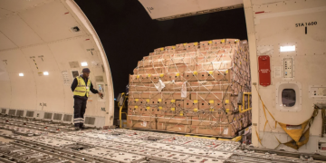 Consultant Insight: Will 2020 be life changing or mean life support for air cargo?