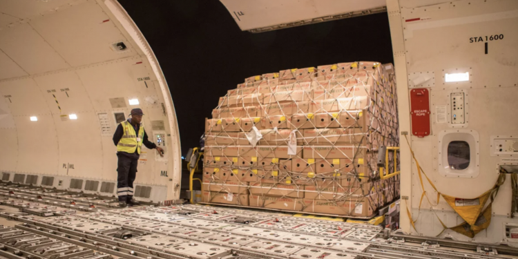 Consultant Insight: Will 2020 be life changing or mean life support for air cargo?