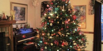 That Christmas tree has probably become a fire hazard by now. Here’s how to get rid of it