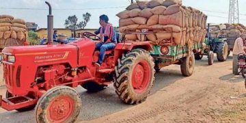 Paddy procurement goes in full swing in Odisha’s Sambalpur- The New Indian Express