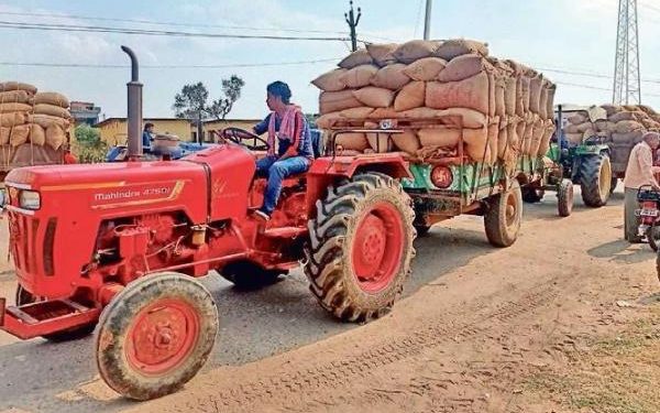 Paddy procurement goes in full swing in Odisha’s Sambalpur- The New Indian Express