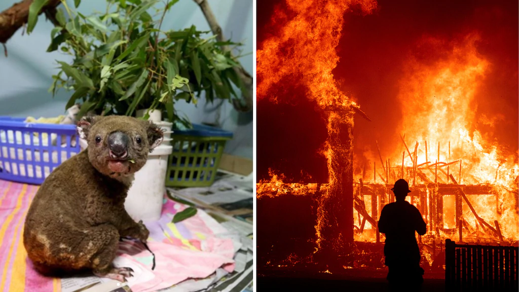 Bushfire donations: Here’s how you can help Australian victims