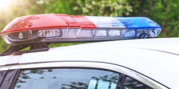 Tennessee wildlife authorities charge man with killing elk