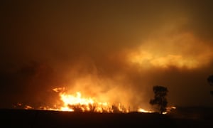 A fire rages near Bredbo, New South Wales, on 1 February 2020.