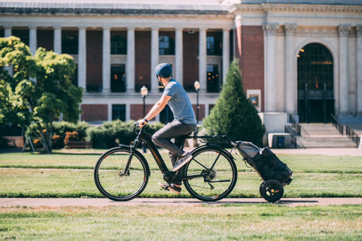 burley cargo trailer
