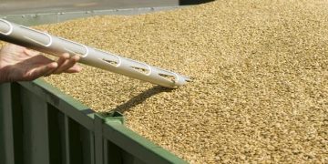 Coronavirus lockdown: Govt likely to delay wheat procurement by a fortnight