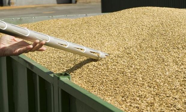 Coronavirus lockdown: Govt likely to delay wheat procurement by a fortnight
