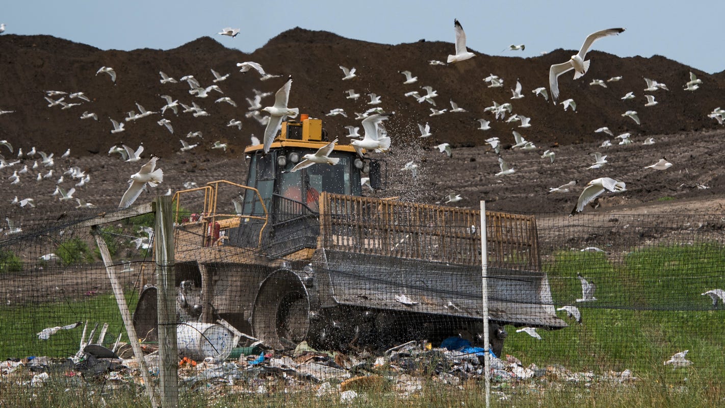 Michigan lawmakers want to overhaul waste, recycling | United States