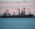 Ray of hope for Australian new crop wheat exports to Southeast Asia in 2020-21 marketing year