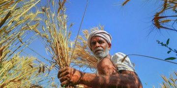 Haryana farmers protest for 3rd day, alleges delay in paddy procurement