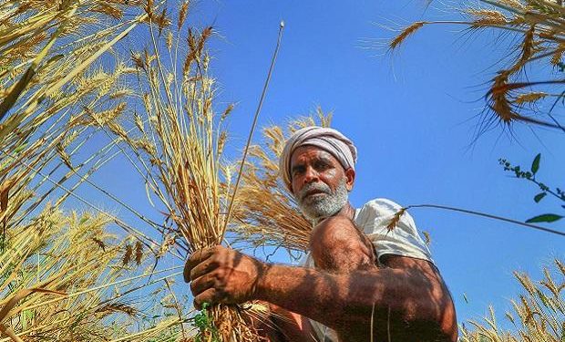 Haryana farmers protest for 3rd day, alleges delay in paddy procurement
