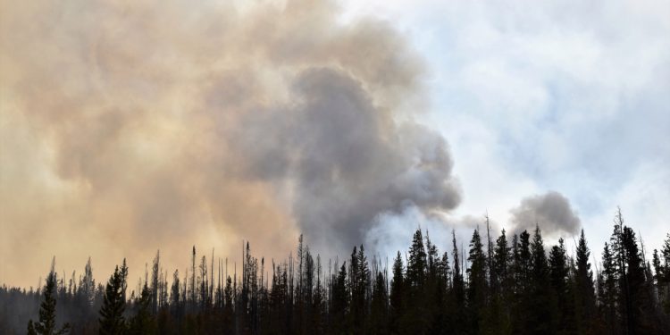 Cameron Peak Fire continues to see no growth, no change in containment – Loveland Reporter-Herald