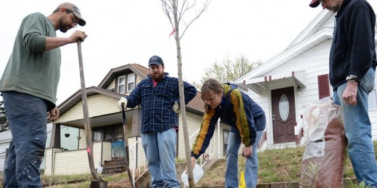 Capital Region communities land urban tree grants