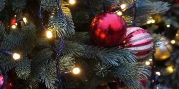 Free live Christmas tree recycling