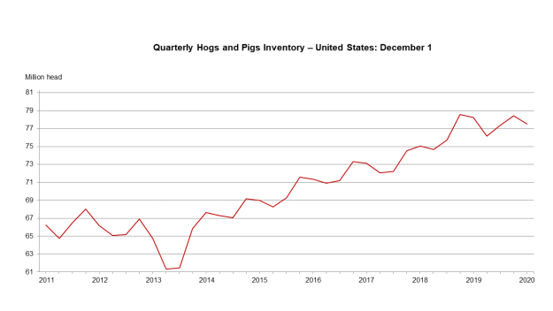 December 23, 2020 Hog Inventory in U.S.