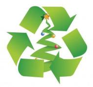 tree recycling