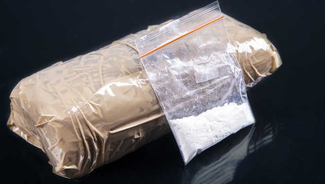 Maharashtra ATS to probe supply chain of drug racket in Himachal : The Tribune India
