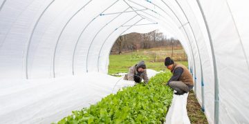 Hamptonburgh warehouse debate represents OC farm preservation quandary