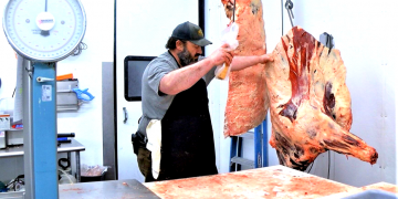 COVID-19 exposes problems in food supply chain | Local News Stories