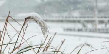 Departments well prepared for coming cold snap