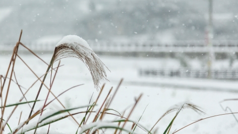 Departments well prepared for coming cold snap
