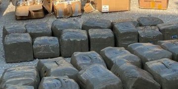 Vietnamese police seize 665kg of cannabis, 93kg of rhino horn cargo at airport warehouse