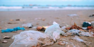 Save Our Seas 2.0 Act Signed into Law: Ocean Plastics