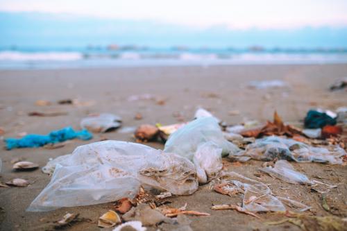 Save Our Seas 2.0 Act Signed into Law: Ocean Plastics