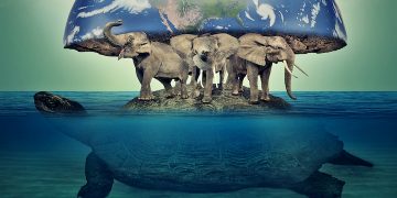 Look to nature to boost supply chain efficiency