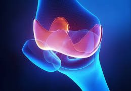Global Orthobiologics Market Demand-Supply Chain, Opportunities, Cost Revenue, Sales Structure, Market Analysis 2020 – Farming Sector