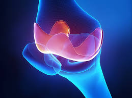 Global Orthobiologics Market Demand-Supply Chain, Opportunities, Cost Revenue, Sales Structure, Market Analysis 2020 – Farming Sector