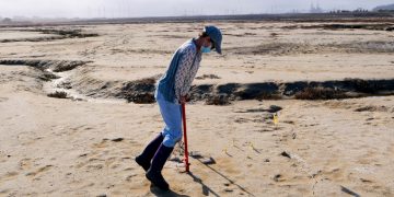 Why restoring Hester Marsh is important – Santa Cruz Sentinel