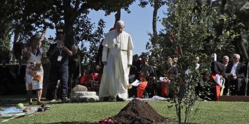 Pope Francis leads in combating climate change