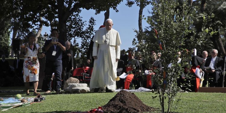Pope Francis leads in combating climate change