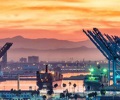 Supply chains choke as container shortage persists