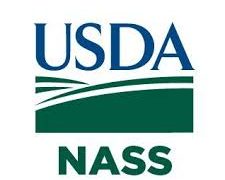 U.S. Hog Inventory Drops One Percent