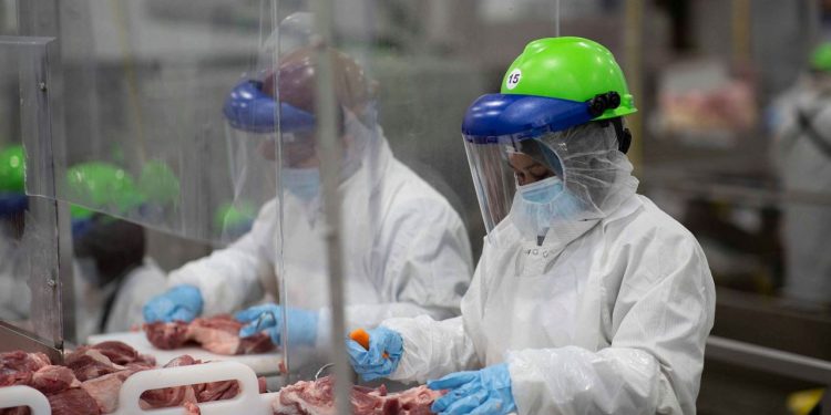 US plants hope to maintain production despite virus threat