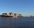 Yang Ming Marine Transport shares gain 33.91% as net profit rises 739.48%
