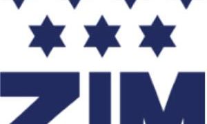 Israeli cargo shipper ZIM Integrated Shipping Services files for a $100 million US IPO – Renaissance Capital