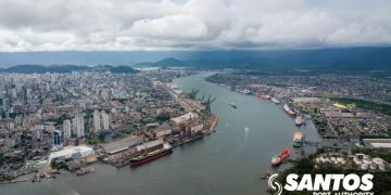 South America’s busiest port heading for cargo record despite COVID-19