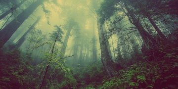 2021 Procurement and Supply Chain Predictions from the market — EcoVadis and Ivalua
