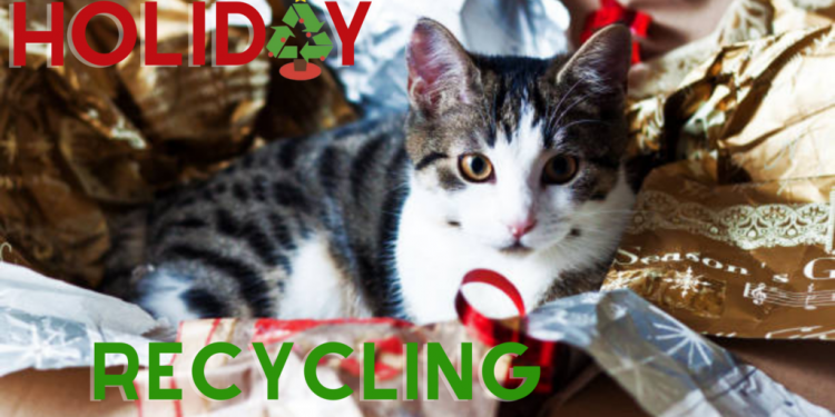 Holiday Recycling Done Right | Auburn Examiner